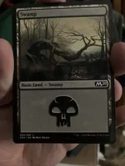 Magic: the Gathering Basic Land Swamp 20 Card lot. Basic Common - Image 1