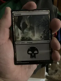 Magic: the Gathering Basic Land Swamp 20 Card lot. Basic Common - Image 2