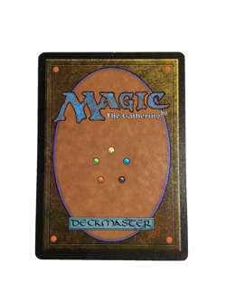 Land's Edge 1995 Chronicles MTG - Image 2