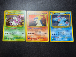 (LP) Typhlosion Meganium Feraligatr Holo Premium File Japanese Pokemon Card - Image 1