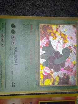 (LP) Typhlosion Meganium Feraligatr Holo Premium File Japanese Pokemon Card - Image 3