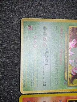 (LP) Typhlosion Meganium Feraligatr Holo Premium File Japanese Pokemon Card - Image 4