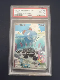 MARILL 2023 POKEMON PALDEA EVOLVED ILLUSTRATION RARE 204/193 PSA 10 Q0004 - Image 1