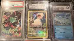 Pokemon CGC & PSA 10, 9.5 Slab Lot of 9 - Slabs Only!! READ DESCRIPTION - Image 3