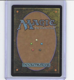 Magic MTG Avatar The Last Airbender Aang's Shelter Borderless M0007 - Image 2