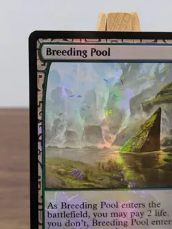 Breeding Pool Foil Zendikar Expeditions Magic The Gathering MTG Card Holo Land - Image 3