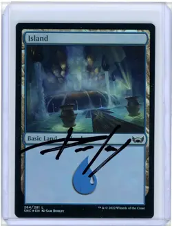 Island Foil Signed Artist Proof MTG - Image 1