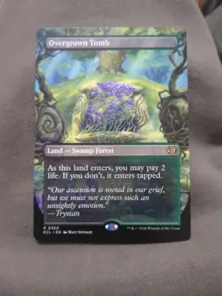 Overgrown Tomb (Borderless) Lorwyn Eclipsed Regular - Image 1