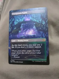 Overgrown Tomb (Borderless) Lorwyn Eclipsed Regular - Image 2