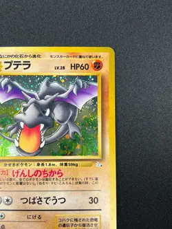 [NM] Aerodactyl Pokemon Card Japanese No.142 Fossil Set Vintage Holo 8F4 - Image 5