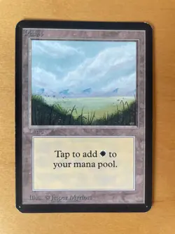 5 MTG Alpha Edition Plains - 1993 Vintage Magic the Gathering - Image 1