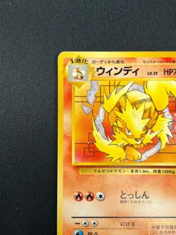 [MP] Arcanine Pokemon Card Japanese No.059 Squirtle Deck Vintage 8F24 - Image 4