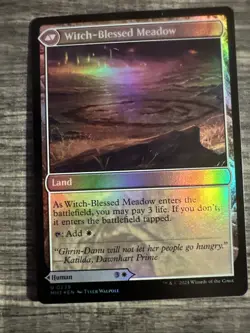 [1x] Witch Enchanter // Witch-Blessed Meadow - Foil Near Mint, English Modern Ho - Image 2