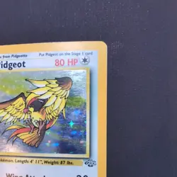 Pidgeot 8/64 Jungle Holo Rare Unlimited Holofoil Pokemon TCG Card - Image 4