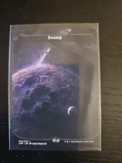 Swamp (242) (Borderless) Unfinity Regular - Image 1