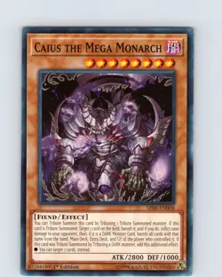 Yu-Gi-Oh TCG Caius The Mega Monarch SR06-EN008 1st Edition Common Card NM - Image 1