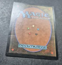 Unplayed Signed LPNM Panther Warriors Magic MTG Visions Cecil Fernando Edh Cube - Image 3