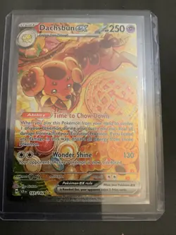 Dachsbun ex 169/142 Stellar Crown Special Illustration Rare Pokemon TCG LP-NM - Image 1