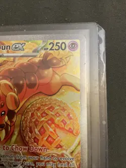 Dachsbun ex 169/142 Stellar Crown Special Illustration Rare Pokemon TCG LP-NM - Image 3