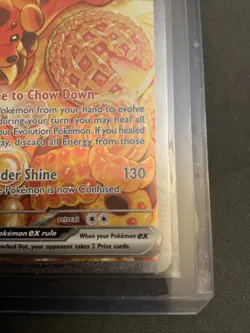 Dachsbun ex 169/142 Stellar Crown Special Illustration Rare Pokemon TCG LP-NM - Image 4