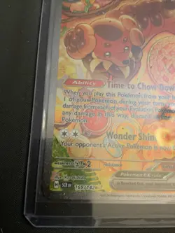 Dachsbun ex 169/142 Stellar Crown Special Illustration Rare Pokemon TCG LP-NM - Image 5