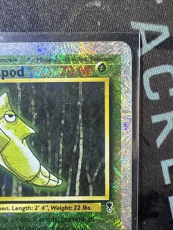 Pokemon TCG - Metapod #64 - Legendary Collection 2000)- Reverse Holo - Image 2