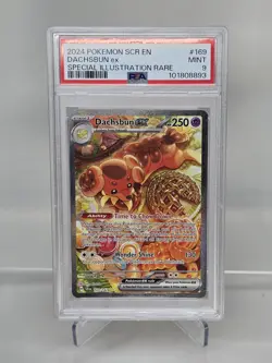 2024 Pokemon SV Stellar Crown Dachsbun ex #169/142 – PSA 9 Mint - Image 1