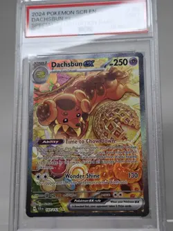 2024 Pokemon SV Stellar Crown Dachsbun ex #169/142 – PSA 9 Mint - Image 3