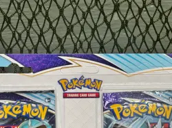 *NEVER HUNG* Pokemon TCG: CHILLING REIGN 2 Pack Blister ~ LEGENDARY BIRDS - Image 2