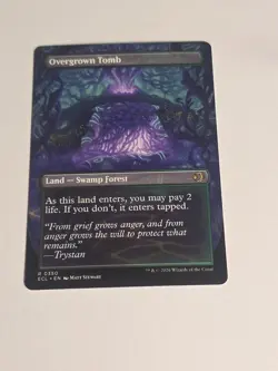Overgrown Tomb (Borderless) Lorwyn Eclipsed Regular - Image 3