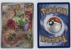 Sprigatito Illustration Rare Pokemon Scarlet & Violet Paldea Evolved SV02 #196 - Image 3
