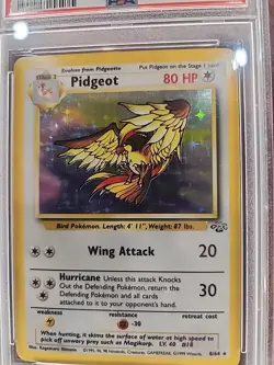 Pidgeot Jungle Holo Pokemon Card WOTC NM Mint PSA 8 - Image 4