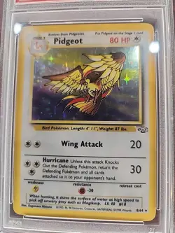 Pidgeot Jungle Holo Pokemon Card WOTC NM Mint PSA 8 - Image 5