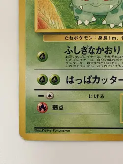 Ivysaur No. 002 Southern Islands vintage old back Japanese Pokemon Card - Image 4