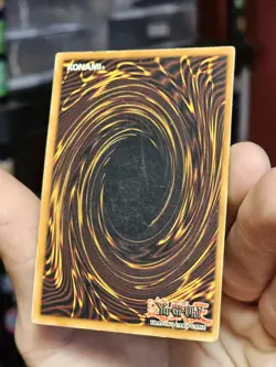 Yu-Gi-Oh Dark Paladin DMG-001 Secret Rare Limited Edition - HP - Image 4