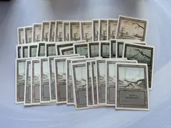 Magic The Gathering 200 Basic Land Lot - Revised Edition + Bonus Fourth Edition - Image 3