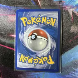 Raikou Entei Suicune Black Star Promo Shiny Holo Set Of 3 Pokemon TCG NM/LP - Image 4