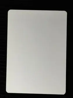 Magic MTG Italian Revised Feedback Artist Proof Near Mint - Only 50 Exist! - Image 2