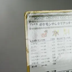 PLD(C) Recommended Deck No.02 Vending Pokemon TCG Japanese p342-11 - Image 4