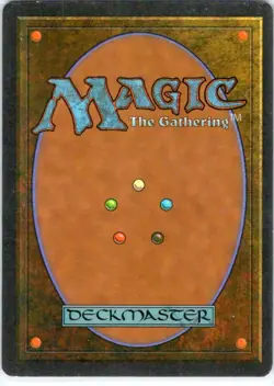 Merchant Scroll | Homelands | LP | 1995 - Image 2