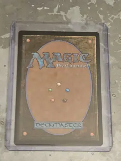 MTG [Raise the Palisade] Extended Art Commander: The Lord of the Rings #106 NM+ - Image 2