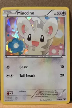 Minccino Promo BW13 Cracked Ice Holo NM - ungraded Pokemon Card - Image 1