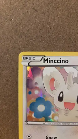 Minccino Promo BW13 Cracked Ice Holo NM - ungraded Pokemon Card - Image 3