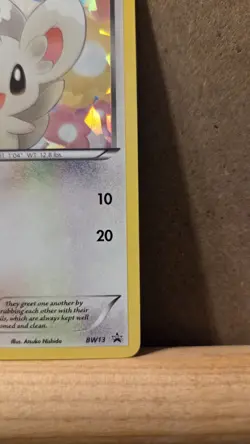 Minccino Promo BW13 Cracked Ice Holo NM - ungraded Pokemon Card - Image 5