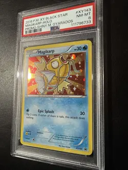 Pokemon Magikarp Shiny M. Gyarados Black Star Holo Promo XY143 PSA 8 - Image 2