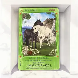 Bella Sara- Bello & Bella 48/92 Card-MINT CONDITION - Image 1