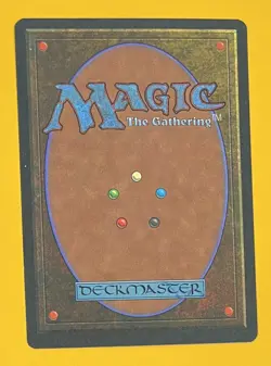 MTG SUNASTIAN FALCONER Legends (OldManMTG 004-528) - Image 2