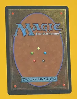 MTG SUNASTIAN FALCONER Legends (OldManMTG 004-526) - Image 2