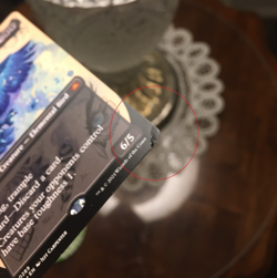 Maha, Its Feathers Night, Damaged Non-foil Borderless, Bloomburrow in English - Image 2