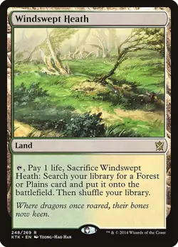 Set 4x Windswept Heath - MtG KTK-EN - Image 2